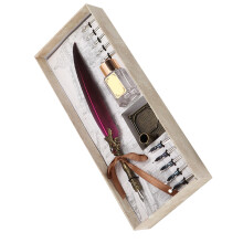 Ensemble de stylos-plumes violets 30,7 12,2 4,1 cm Boîte cadeau