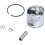 Kit pistone con anello da 46 mm (1.8in) per 555/560/562 15