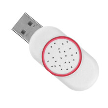 Clé USB en forme de fruit du dragon 32 Go mini rose