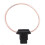 Modulo di bypass dell'immobilizer universale ABS da 12 V 10