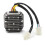 Regolatore di tensione e rettificatore 7W DualPlug 12V Argento 2