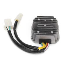 Regolatore di tensione e rettificatore 7W DualPlug 12V Argento