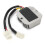 Regolatore di tensione e rettificatore 7W DualPlug 12V Argento 7