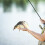 3,0 po / 0,5 oz leurre minnow Couleur01 Bionic plongeant 8