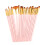 Set di 20 spazzole per capelli in nylon rosa, 5 forme 2