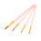 Set di 20 spazzole per capelli in nylon rosa, 5 forme 12