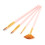 Set di 20 spazzole per capelli in nylon rosa, 5 forme 3