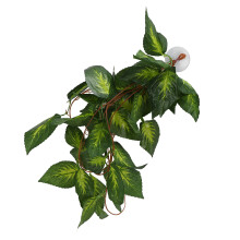 BoxNFF-86 Vite simulata a foglie variegate 2-2.5m
