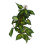 BoxNFF-86 Vite simulata a foglie variegate 2-2.5m 15