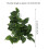BoxNFF‑81 Conch verde foglia vite artificiale 2-2.5m 8