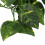 BoxNFF‑81 Conch verde foglia vite artificiale 2-2.5m 5