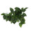 BoxNFF‑81 Conch verde foglia vite artificiale 2-2.5m 13