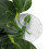 BoxNFF‑81 Conch verde foglia vite artificiale 2-2.5m 9