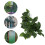 BoxNFF‑81 Conch verde foglia vite artificiale 2-2.5m 15