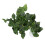 BoxNFF‑81 Conch verde foglia vite artificiale 2-2.5m 16