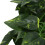 BoxNFF‑81 Conch verde foglia vite artificiale 2-2.5m 6