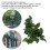 BoxNFF‑81 Conch verde foglia vite artificiale 2-2.5m 4