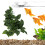 BoxNFF‑81 Conch verde foglia vite artificiale 2-2.5m 1