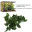 BoxNFF‑81 Conch verde foglia vite artificiale 2-2.5m 10