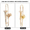 Broche trombone plaqué or 36 g 5,5x1,4x1,4 cm 3