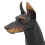Dobermann noir modèle jouet 20x15,7x4,3 cm plastique 5