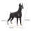 Dobermann noir modèle jouet 20x15,7x4,3 cm plastique 10