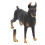 Dobermann noir modèle jouet 20x15,7x4,3 cm plastique 14