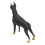Dobermann noir modèle jouet 20x15,7x4,3 cm plastique 4