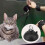 Pet Grooming Bathing Suction Cup & Cable Choker Loop Noose Bath Restraint System 7