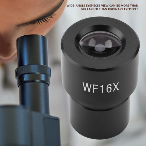 DM-WF009 WF16X Oculaire grand-angle 23,2 mm, clair 2