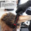 Peigne à cheveux détachable Pro Multifonction 23x5x3cm 5