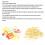 Spilli Calabash Dorati, 50 pezzi in plastica + 50 pezzi in ferro 13