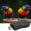 M2 Ricevitore HDMI Wireless per Display 1080P Nero ABS 1