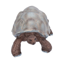 Modelli di tartarughe - figure in plastica, età 3+