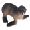 Figure modello di animali marini - in plastica, età 3+ 12