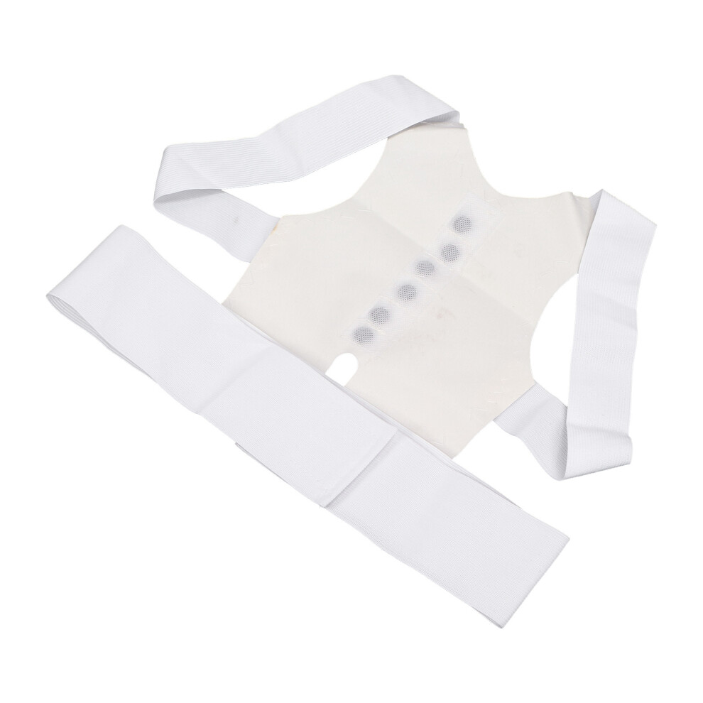 Magnetic Back Braces Posture Corrector Adjustable Back Support Brace for Pain ReliefM