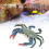 Crabe Modèle PL127524 - Plastique, 17,5  2,3 cm, 3+ Jouets 3