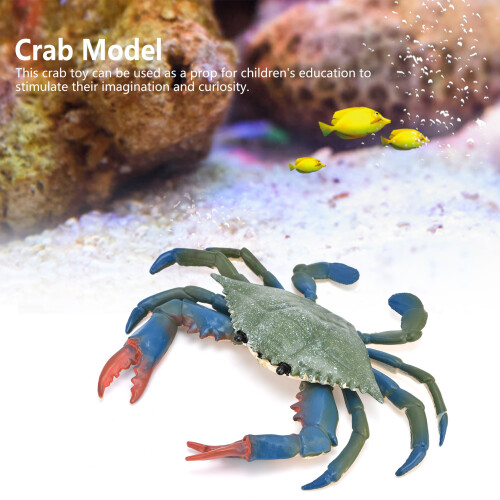 Crabe Modèle PL127524 - Plastique, 17,5  2,3 cm, 3+ Jouets 2