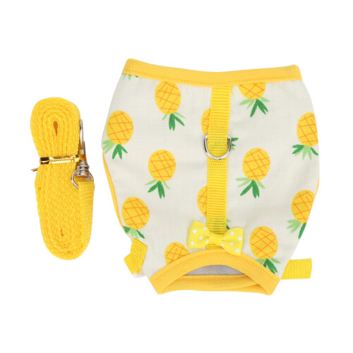 Ensemble harnais et laisse Mini Pets S jaune ananas 1