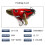 Psycho Wobbler Mini leurre de surface crankbait - multicolore 1