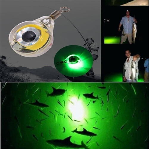 13mm/0.51in Luce LED luminosa per la pesca Colore 1