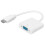 Adaptateur HDMI vers VGA 0.2m Blanc 7