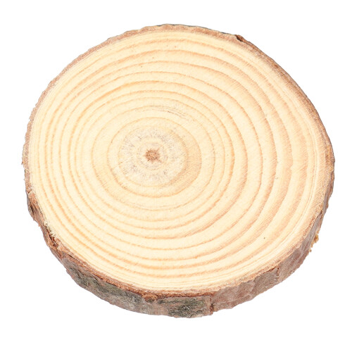 Tranches de bois de pin naturel n1 rondes 5-6 cm 1