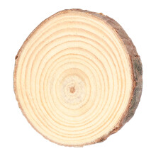 Tranches de bois de pin naturel n1 rondes 5-6 cm