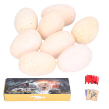 Kit di scavo delle uova di dinosauro Gesso+Plastica 3+ anni Regalo
