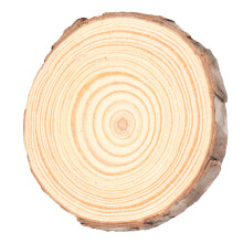 Dischi di legno naturali rotondi di pino 2# 6-7 cm fai-da-te