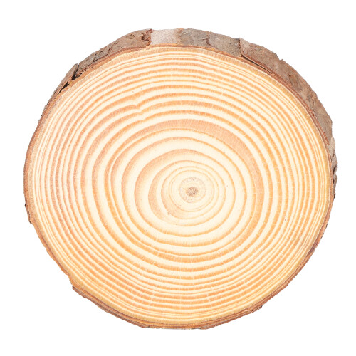 Naturel 3# Tranches de bois de pin rondes 7-8 cm