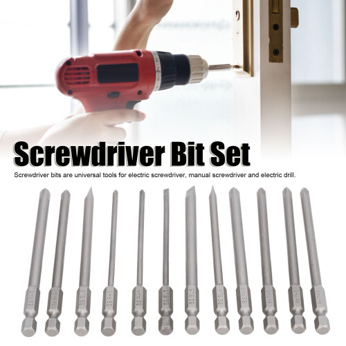 Set di punte per cacciavite da 12 pezzi - 100 mm, lega S2, argento 2