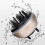 Liquidcomb 30ml, 58x58x60mm Argent SS+Silicone+ABS 4