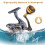 Moulinet spinning en aluminium KS3000, HighSpeed Gear 5